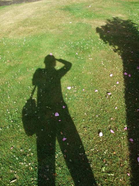 photographer at work