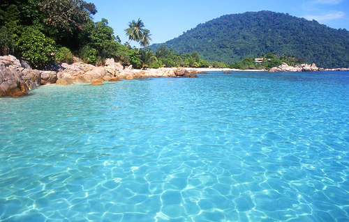 a tropical paradise..