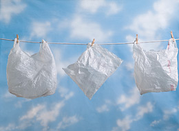 say no to plastic bags