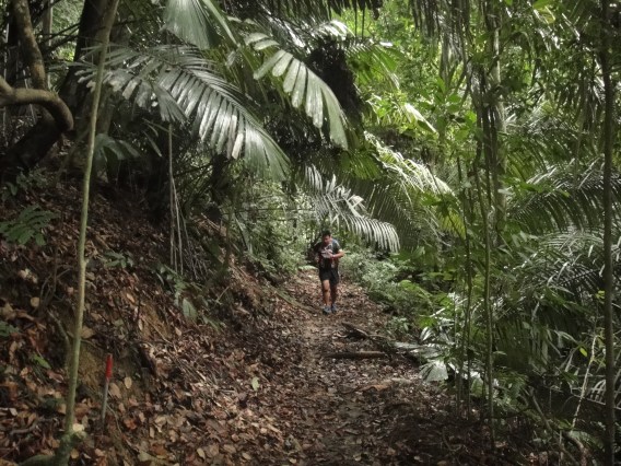 Dream Trail, FRIM, Kepong