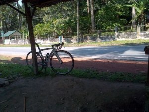 536927_10151435155100351_1984442383_n