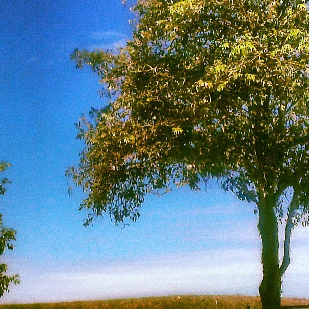 Take a guess where this is.. beautiful innit?